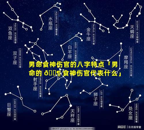 男命食神伤官的八字特点「男命的 🐶 食神伤官代表什么」